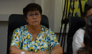 Pide Silvia Tanús sanciones para priistas que están apoyando a Morena