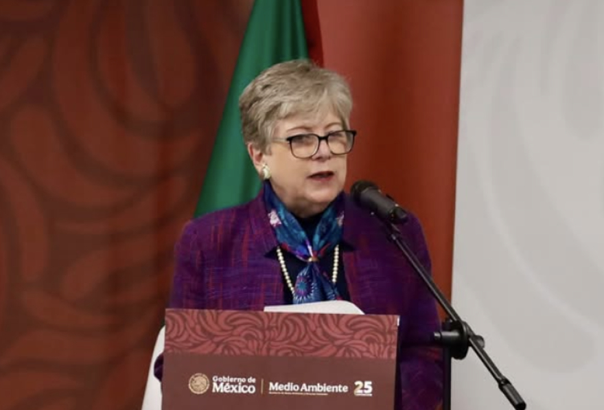 Partido Verde exige comparecencia de la titular de SEMARNAT por derrame de hidrocarburo en el Golfo de México