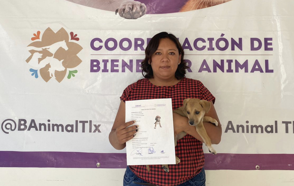 Entrega la Coordinación de Bienestar Animal 15 adopciones en condiciones de calle