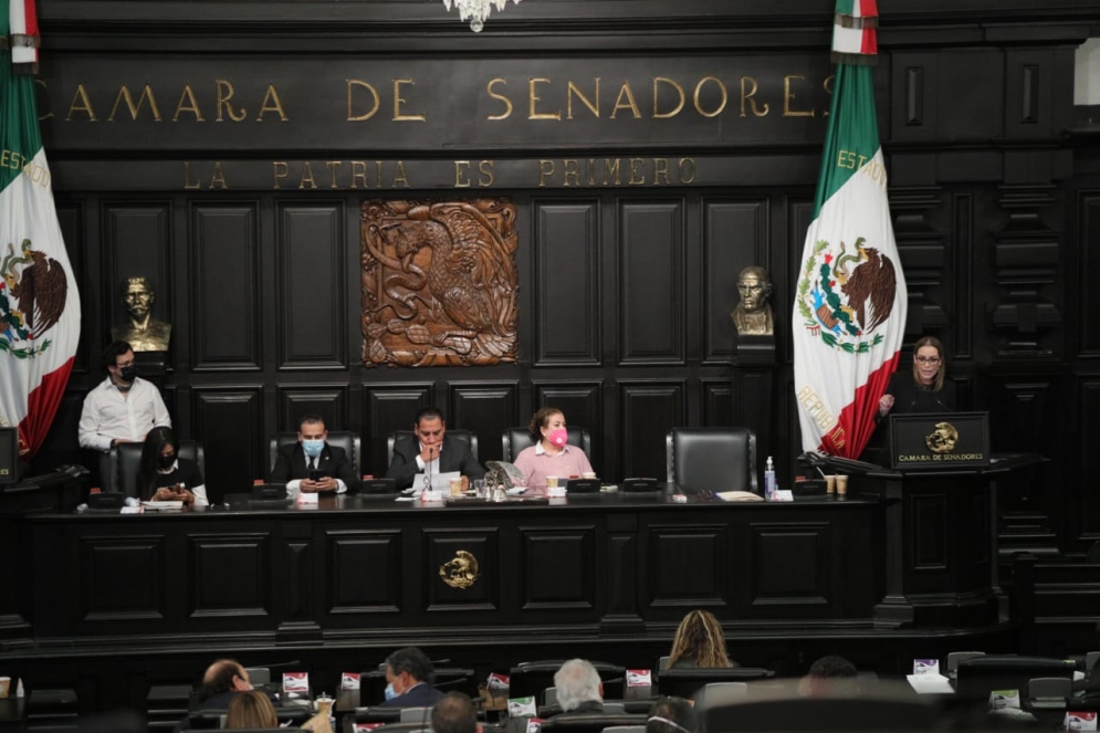 Cámara de Senadores alterna