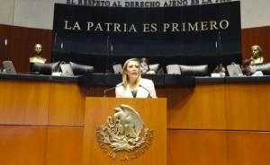 El gobierno amedrenta a la oposición utilizando a sus intituciones: Alejandra Reynoso