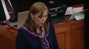 Comparecencia de la titular de la Secretaría de Economía, Tatiana Clouthier Carrillo