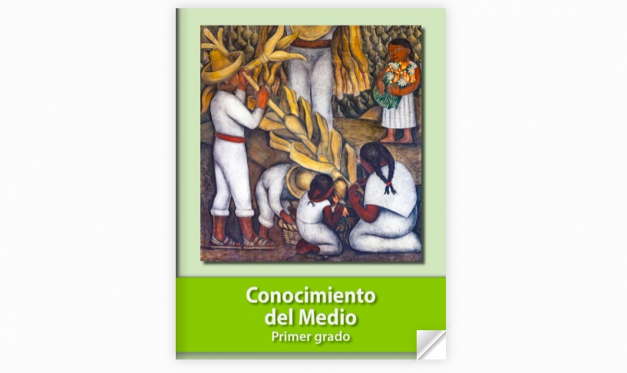 SEP pide “de gratis” rediseños de los nuevos libros de texto gratuito