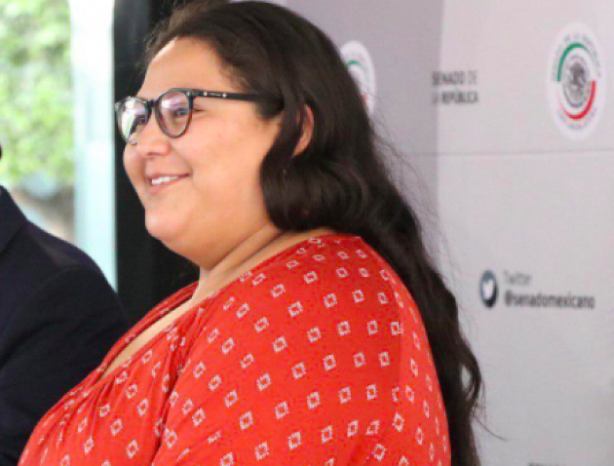 Partidos del viejo régimen utilizan a sus cómplices para censurar a AMLO: Citlalli Hernández