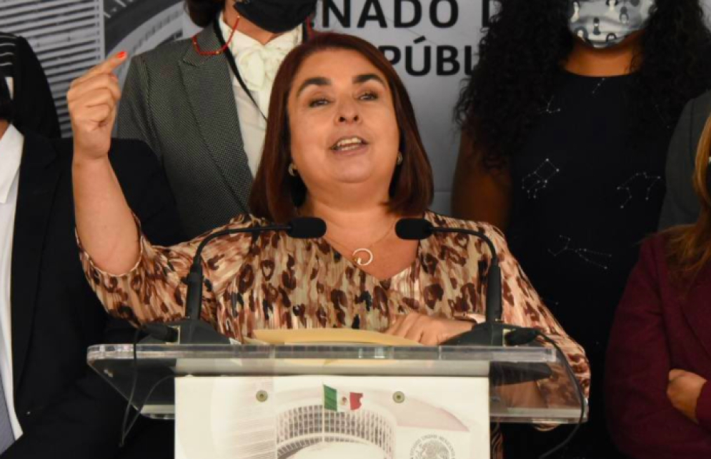 Exhiben beneficio de beca y subsidio del Conacyt para hijo de senadora morenista