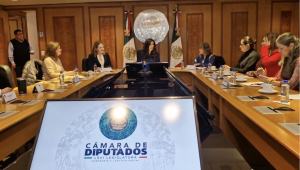 Red de mujeres plural busca que la 4T considere sus propuestas para la reforma electoral