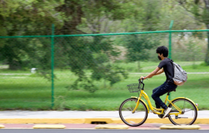 STU y Lobobici, una opción de movilidad económica y sustentable