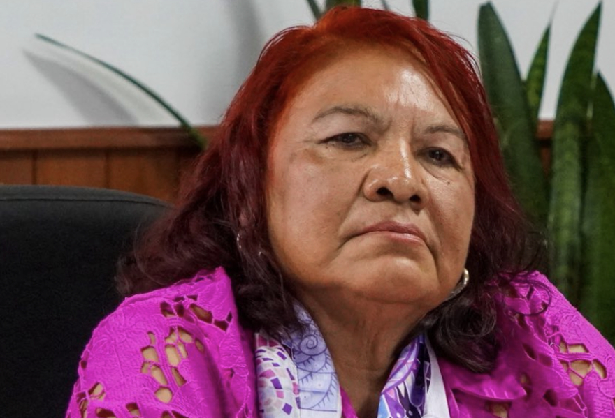 Diputada de Morena presume que en Veracruz ya construyeron una nave espacial para llegar a Marte