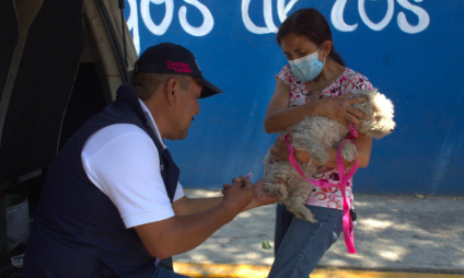Inician las jornadas antirrábicas gratuitas en Puebla