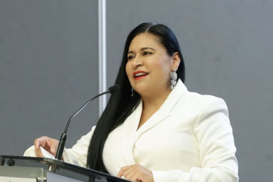 Senadora de Morena propone castigar el “conflicto de interés” en asuntos legislativos; acusa presiones de empresas para elaborar leyes
