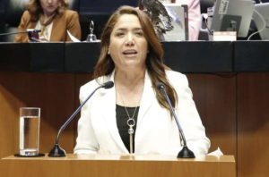 Senadora del PAN Ivideliza Reyes alerta privatización de playas mexicanas