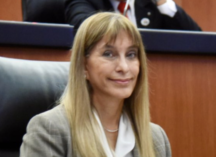 Senadora de la 4T pide reforzar seguridad y protección para defensores del medio ambiente