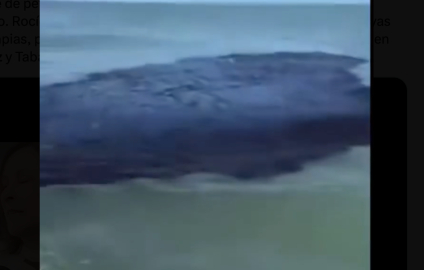 Ecocidio por derrame de petróleo en costas de Veracruz y Tabasco escala al Senado