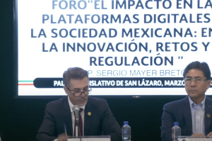 Morena busca regulación que evite el libertinaje en redes sociales:  &quot;Cuando incurrimos en la calumnia estamos cayendo en el libertinaje”, dicen   