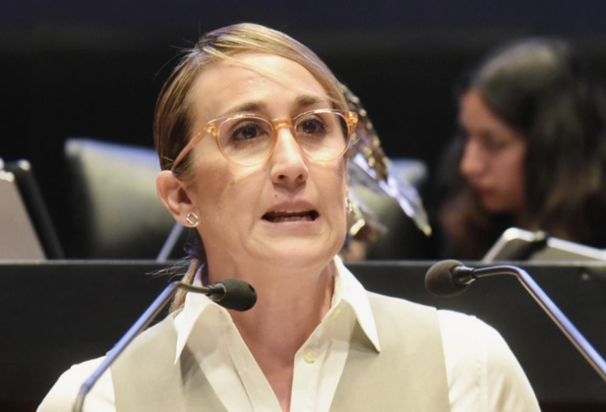 PVEM busca que gastos veterinarios sean deducibles de impuestos