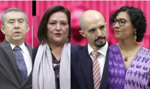 La renovación del INE