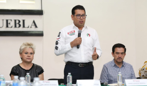 Priistas que están criticando al partido, que se vayan, no los vamos a expulsar: Camarillo