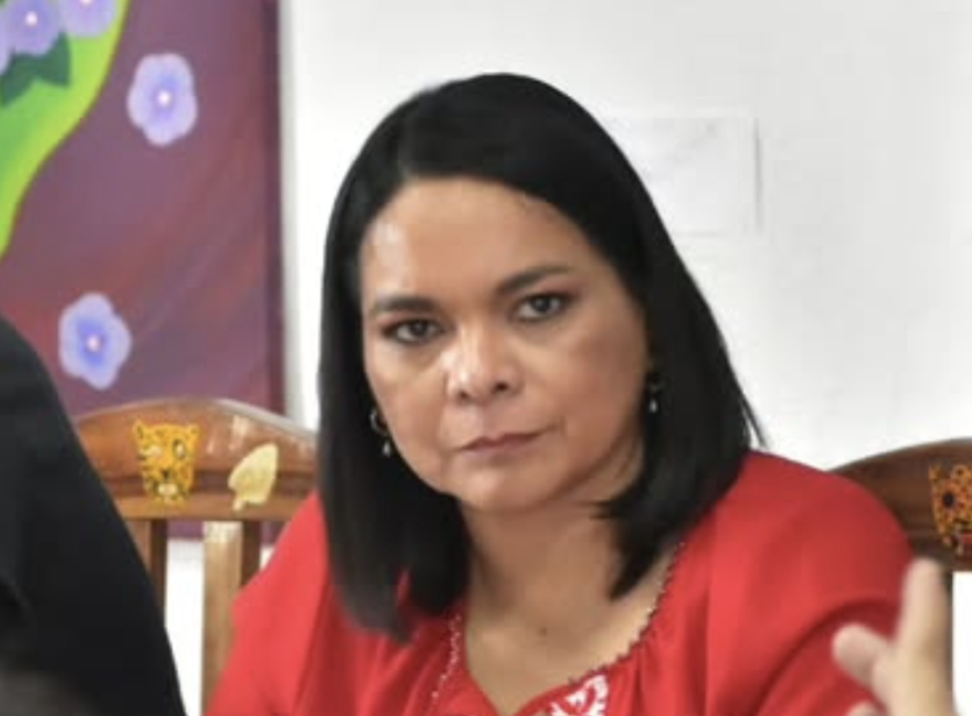 Senadora de Morena acusa que “ultra derecha” no soporta que una mujer gobierne el país
