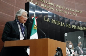 Olga Sánchez Cordero