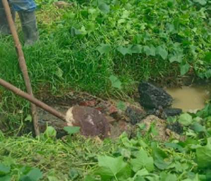 CAPAMH refuerza mantenimiento preventivo en el sistema de drenaje de Huamantla