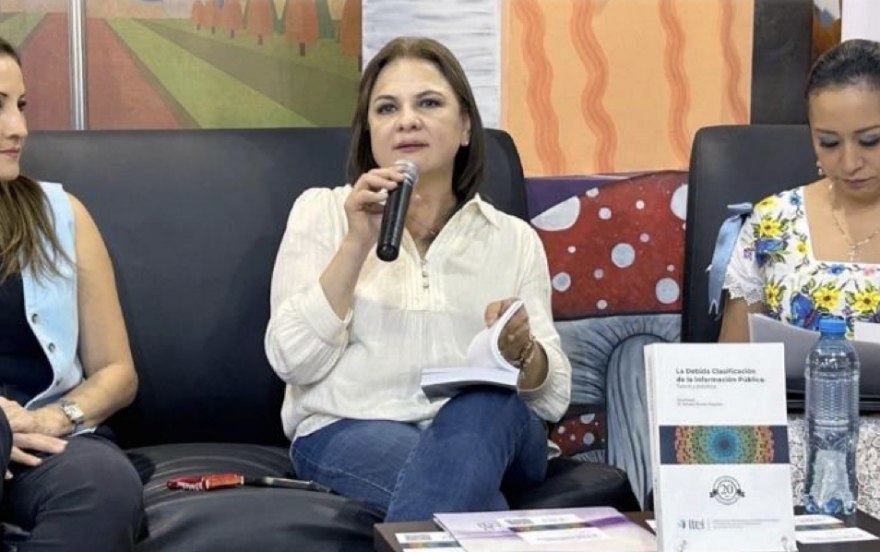 “Se puso de moda que todo lo que no se quiere entregar por parte de las autoridades lo clasifican como un tema de seguridad nacional”, advierte INAI