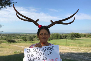 Jesusa Rodríguez asegura que continuará trabajando a favor de la 4T