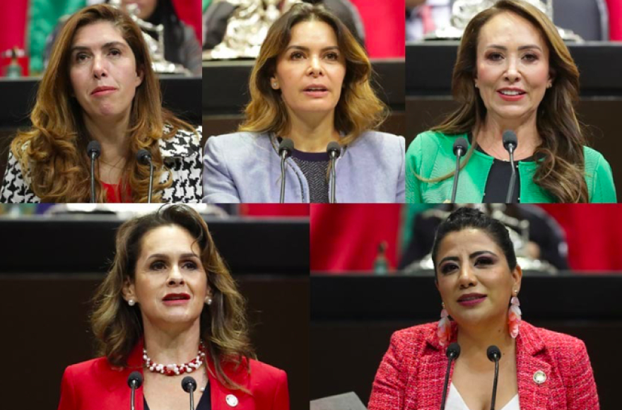 Denuncian a la 4T por omisiones en el caso de maltrato animal Black Jaguar-White Tiger