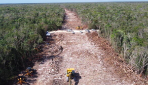 Juez ordena la suspensión definitiva en la construcción del Tramo 5 del Tren Maya