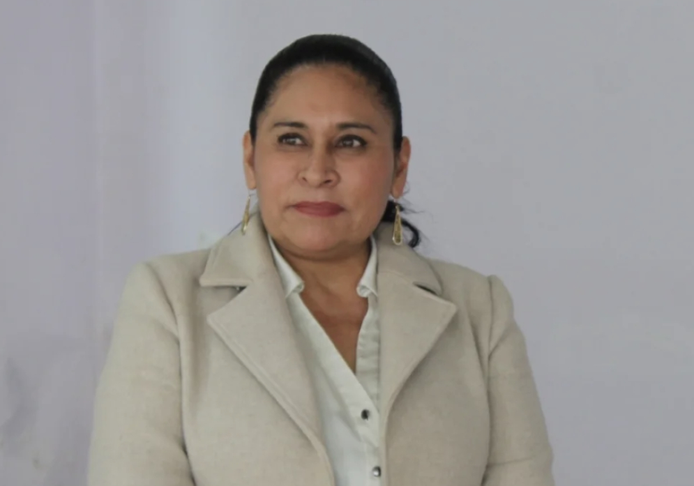 Senadora de Morena Ana Lilia Rivera le da coscorrón a Andy López Beltrán por viajes lujosos: “el poder es humildad”