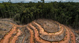 México se suma de “último momento” a acuerdo para detener la deforestación hacia el 2030 en COP26