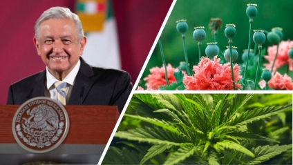 AMLO pide &quot;sembrar vida&quot; en vez de amapola o marihuana