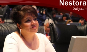 Senadora de Morena busca que presos tengan derecho a votar