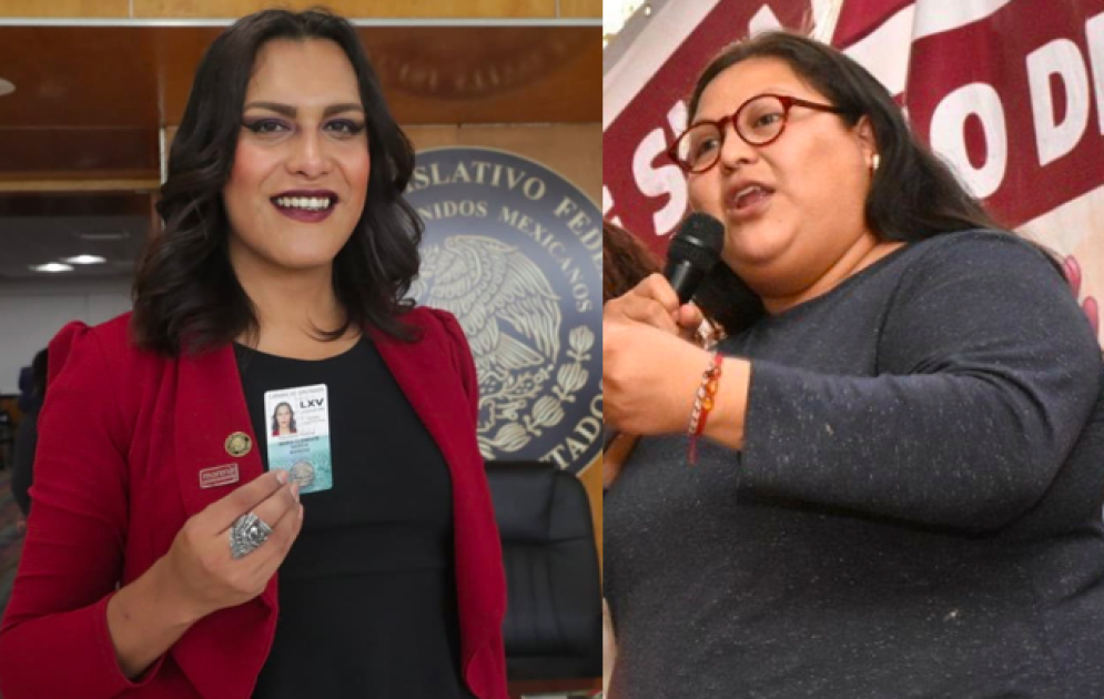 Ex diputada de morena reclama a Citlalli Hernández dejar lucrar con su imagen