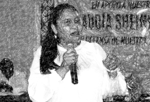 La Senadora de Morena que ya no está disfrutando lo votado; el caso de Ana Lilia Rivera