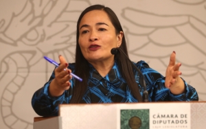 Verónica Juárez, PRD