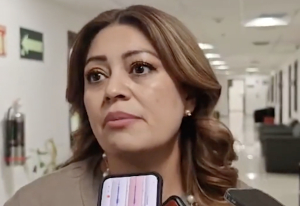 Pide diputada de la 4T que dejen de sacar raja política de la tragedia de las lluvias