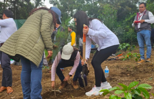 Gobierno del Estado suma más de 2 millones de árboles plantados en 2023